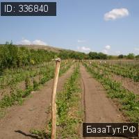 продам дом в Болгарии, Е87 цена 158 400 000 руб., фото №4
