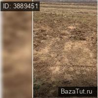 продам земельный участок в России в Загорье цена 905 400 руб., фото №3