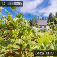 продам дом в России в дачный Массив Бойцово, Березовая улица цена 8 500 000 руб., фото №23