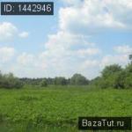 Красный Холм, улица Калинина   Продаю Земельный участок