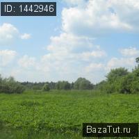 Красный Холм, улица Калинина   Продаю Земельный участок