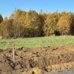 Всеволожский район, Массив Скотное территория   Продаю Земельный участок