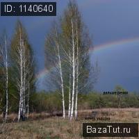 продам дом в России в село Пустотино, Центральная улица цена 280 000 руб., фото №5