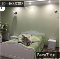 Дрезна, Новая улица, д.4 . Сдам дачу (загородный дом)