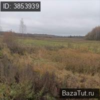продам земельный участок в России в Андрейкове, Андрейково парк микрорайон цена 211 970 000 руб., фото №4