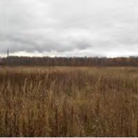 Кузяево, Железнодорожник (Новохаритоновское с/п) садовое товарищество   Продаю Земельный участок