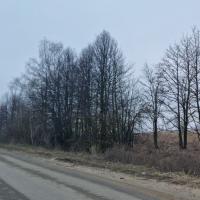 продам земельный участок в России в Белогузово цена 40 840 035 руб., фото №8