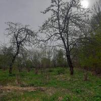 продам дом в России в Покрове, д.38 цена 700 000 руб., фото №13