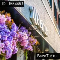 сдам коммерческую недвижимость в России в пгт. Новоивановское, Эйнштейна бульвар, д.3 цена 78 445 руб./месяц, фото №4