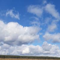 Сдам Земельный участок