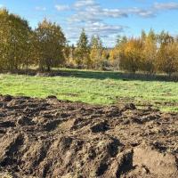 Скотное, Ленинградская улица   Продаю Земельный участок