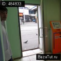 сдам коммерческую недвижимость в России, Танковый проезд, 4с38 цена 1 800 руб./месяц, фото №6