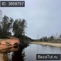 продам дом в России в Даймище, Большой проспект, д.59 цена 2 700 000 руб., фото №2