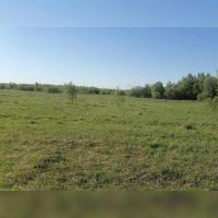 Веригино,    Продаю Земельный участок