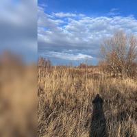 Ульяновск, Березка территория снт   Продаю Земельный участок