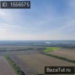 Барнаул, Павловский тракт  . Сдам Земельный участок
