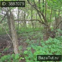продам коммерческую недвижимость в России в Краснозаводске, Рдултовского площадь, д.3 цена 449 495 201 руб., фото №22