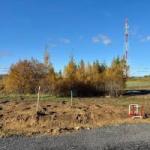 Всеволожский район, Массив Скотное территория   Продаю Земельный участок