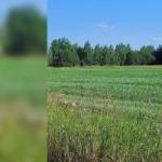 Пажга,    Продаю Земельный участок