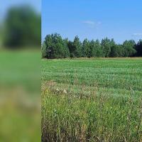 Пажга,    Продаю Земельный участок