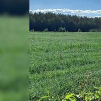 продам земельный участок в России в Пажга цена 84 240 руб., фото №2