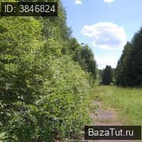 территория Пионерский лагерь Истра от НПО имени Ла,    Продаю Земельный участок