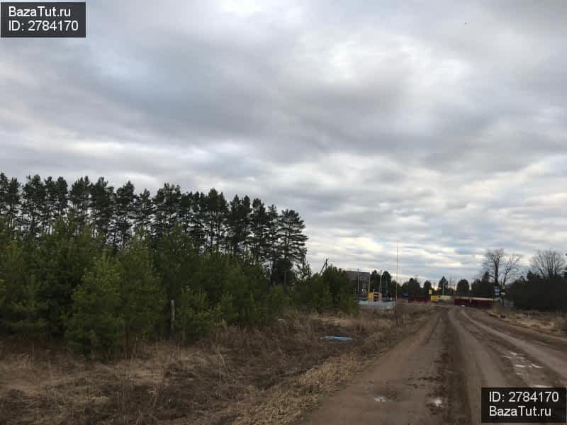 продам земельный участок в России в село Карамалы цена 180 000 руб., фото №3