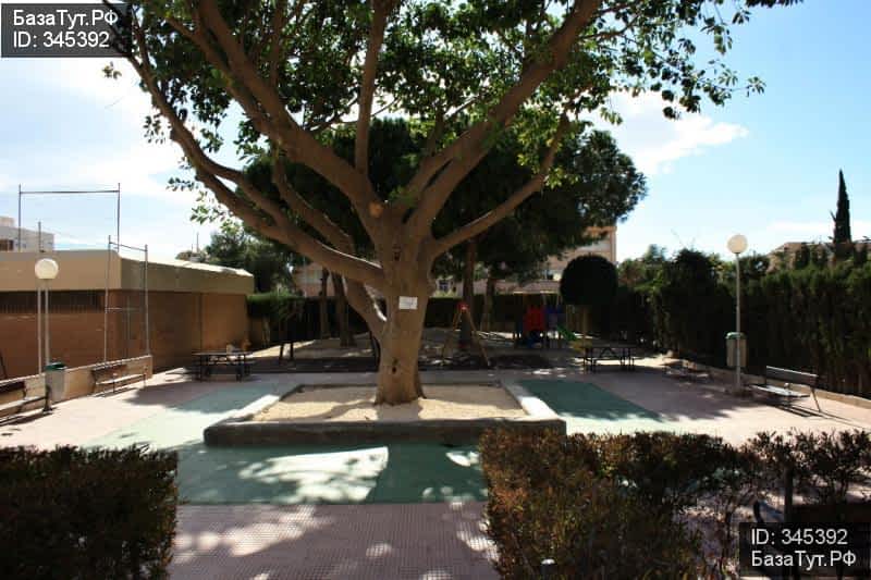 продам 3 к. квартиру в Испании в Кампельо, Carrer Sant Bartolomeu, 82 цена 12 250 000 руб., фото №3