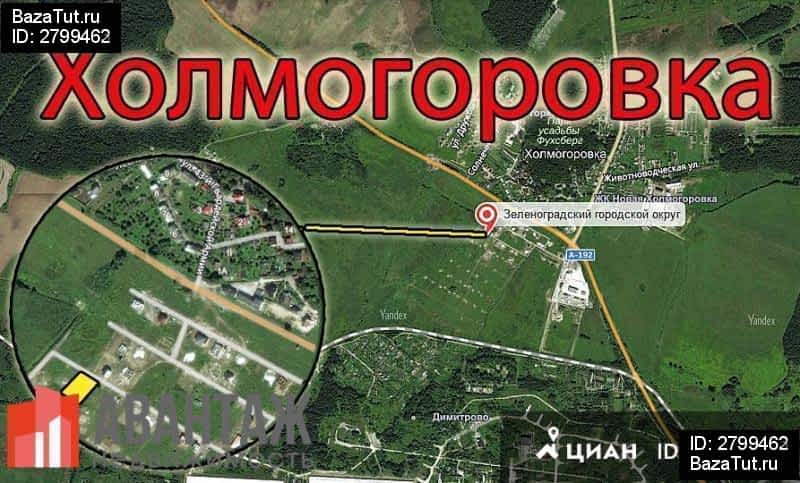 Поселок холмогоровка калининградская область