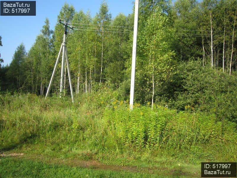 Купить Земельный Участок В Тверской Области