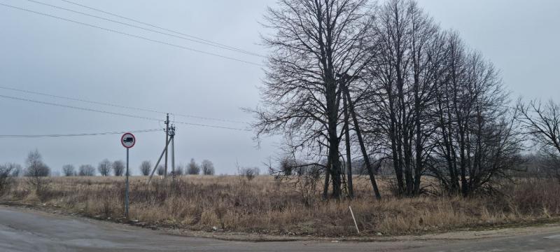 продам земельный участок в России в Белогузово цена 40 840 035 руб., фото №9