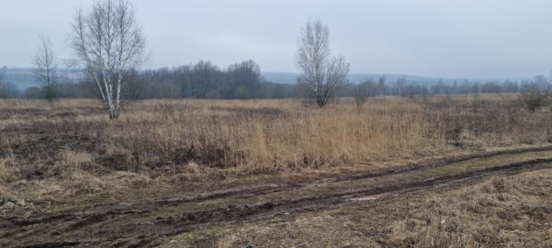 продам земельный участок в России в Белогузово цена 51 083 016 руб., фото №13