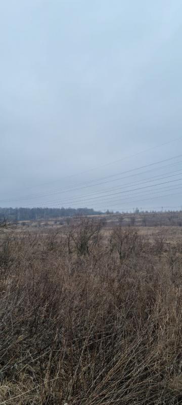 продам земельный участок в России в Белогузово цена 25 192 926 руб., фото №3