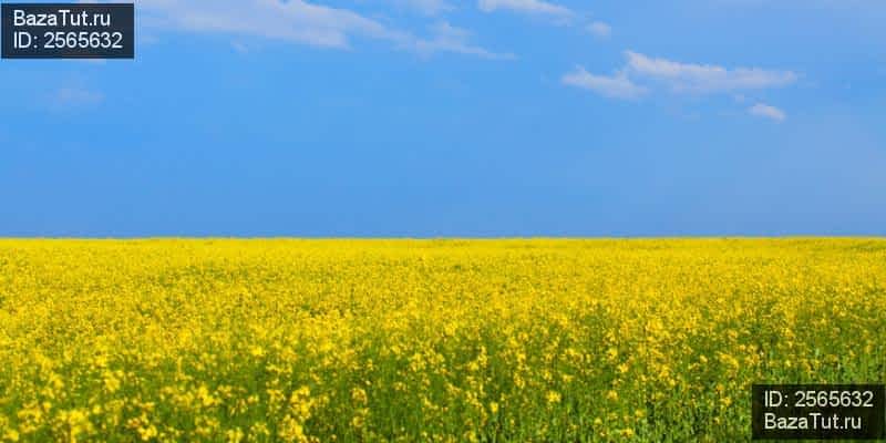 продам земельный участок в России в ТСН Удачный, Солнечный проезд цена 25 000 руб., фото №2