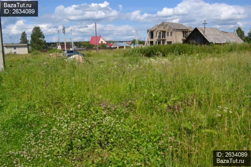 Погода в толстяково солнечногорский