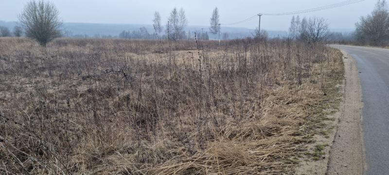 продам земельный участок в России в Белогузово цена 40 840 035 руб., фото №16