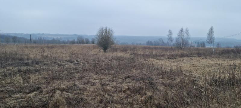 продам земельный участок в России в Белогузово цена 40 840 035 руб., фото №12