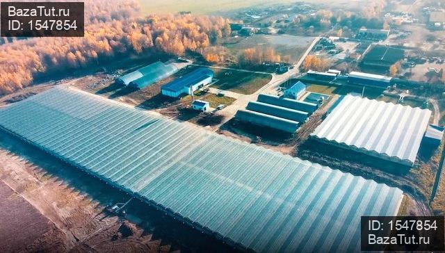 сдам склад,  к. в России в Бухловка цена 180 000 руб./месяц, фото №5