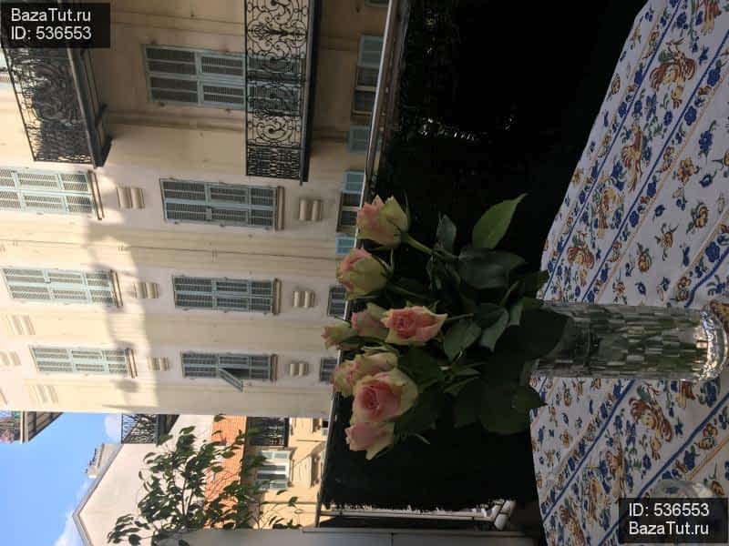 сдам студию в Франции в город Ницца, Rue de France цена 5 800 руб./сутки, фото №3