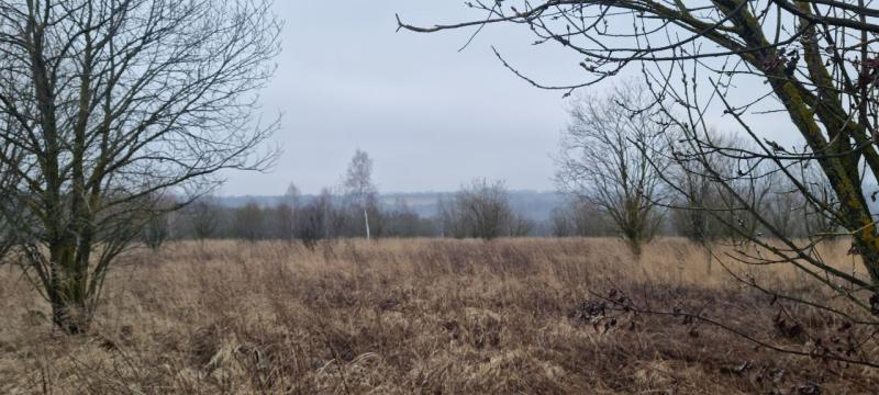 продам земельный участок в России в Белогузово цена 40 840 035 руб., фото №6