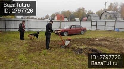 продам земельный участок в России в деревня Самарино цена 250 000 руб., фото №3