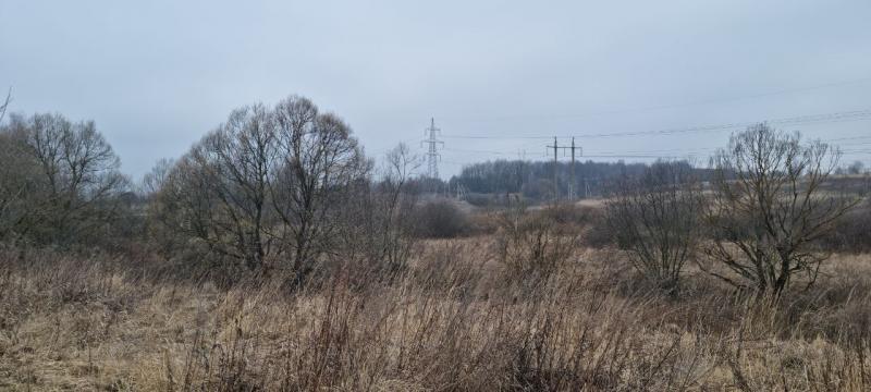 продам земельный участок в России в Белогузово цена 37 283 500 руб., фото №4
