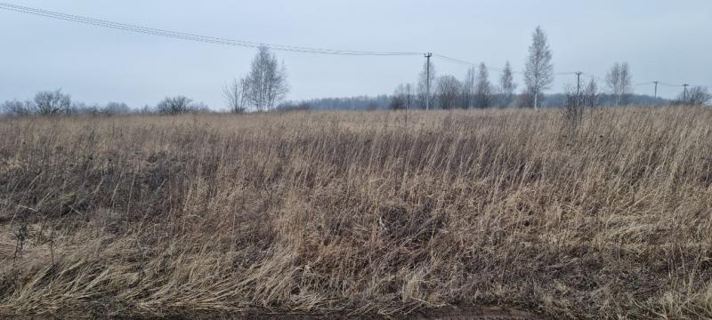 продам земельный участок в России в Белогузово цена 51 083 016 руб., фото №16