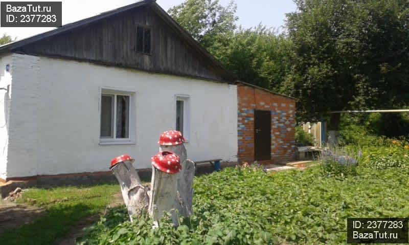 Погода в широкополье энгельсского. Широкополье (Саратовская область). Широкополье Энгельсский район. Школа Широкополье Энгельсский район. Широкополье Саратов.