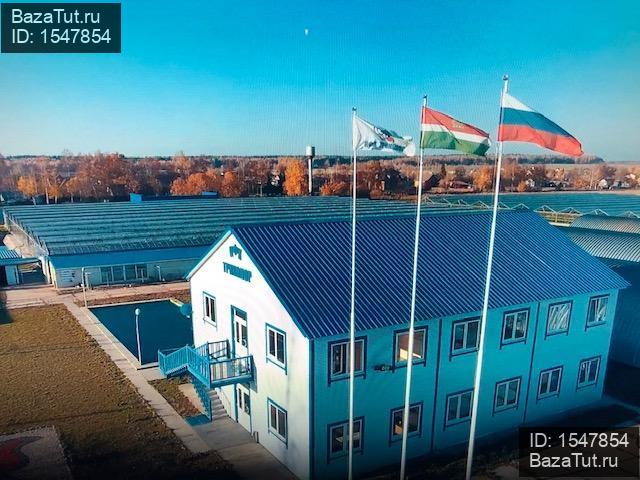 сдам склад,  к. в России в Бухловка цена 180 000 руб./месяц, фото №7