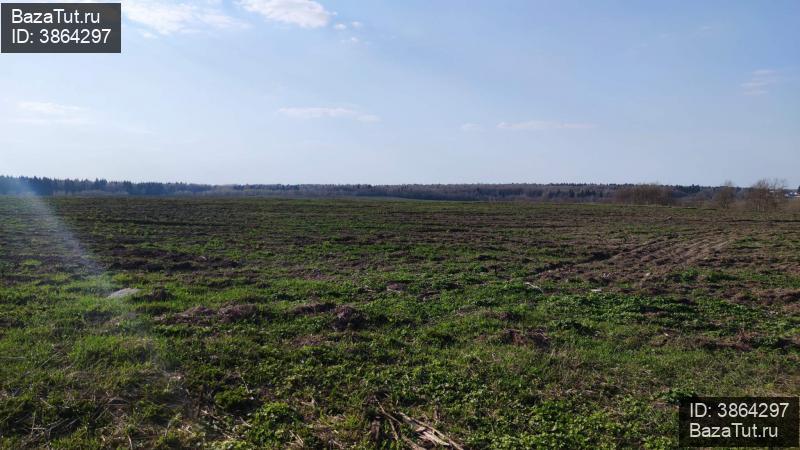 продам земельный участок в России в Сваткове цена 41 600 000 руб., фото №4