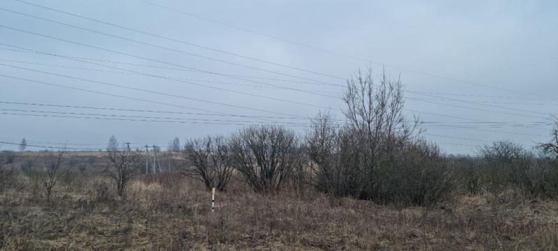 продам земельный участок в России в Белогузово цена 37 283 500 руб., фото №17