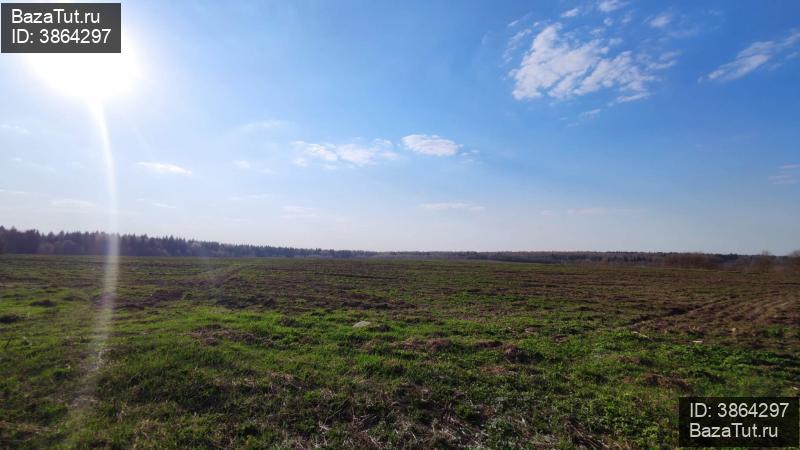 продам земельный участок в России в Сваткове цена 41 600 000 руб., фото №5