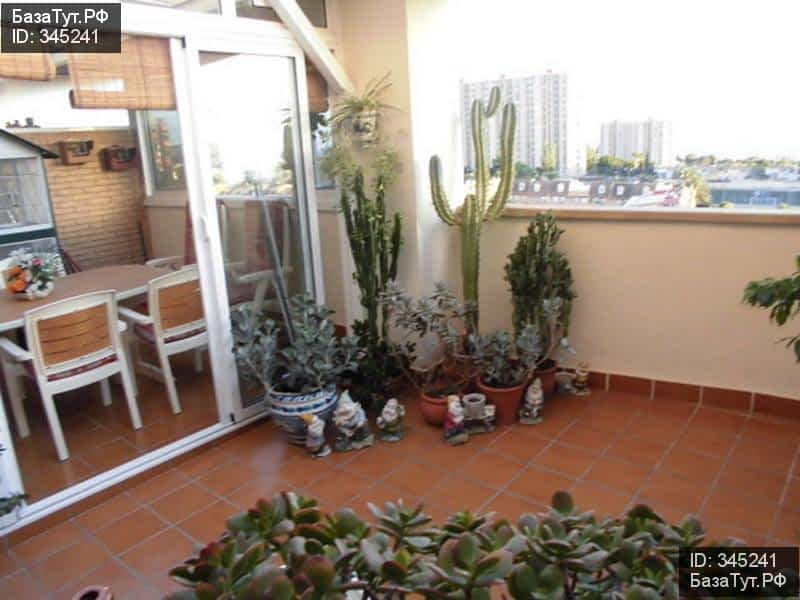 продам 4 к. квартиру в Испании в Аликанте, Calle Tridente цена 26 650 000 руб., фото №6
