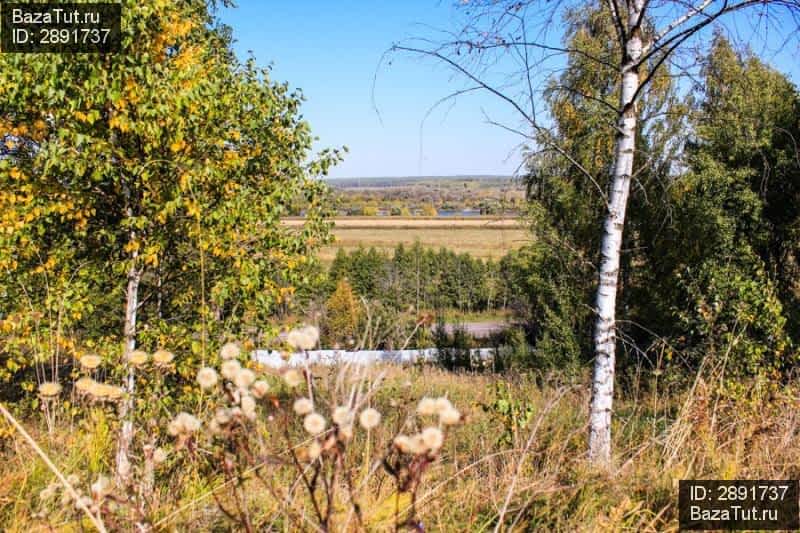 Купить Участок На Берегу Оки В Деревне